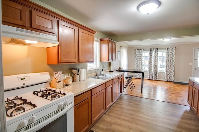 155 Roberts St, Jerseyville, IL 62052 - kitchen with white range with gas stovetop, a sink, under cabinet range hood, light wood finished floors, and light countertops