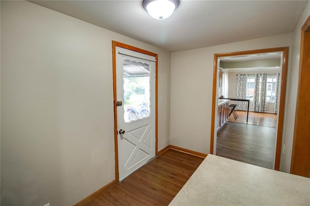155 Roberts St, Jerseyville, IL 62052 - entryway featuring healthy amount of natural light, baseboards, and dark wood-style flooring