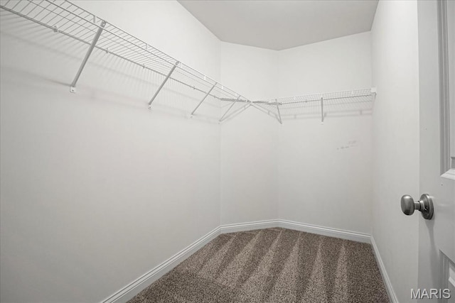 346 Fairhaven Ct, Wright City, MO 63390 - walk in closet with carpet flooring