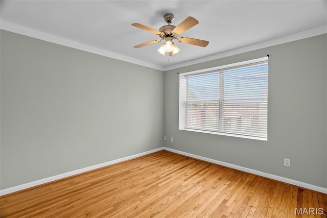4540 Morganford Rd, Saint Louis, MO 63116 - photo 23