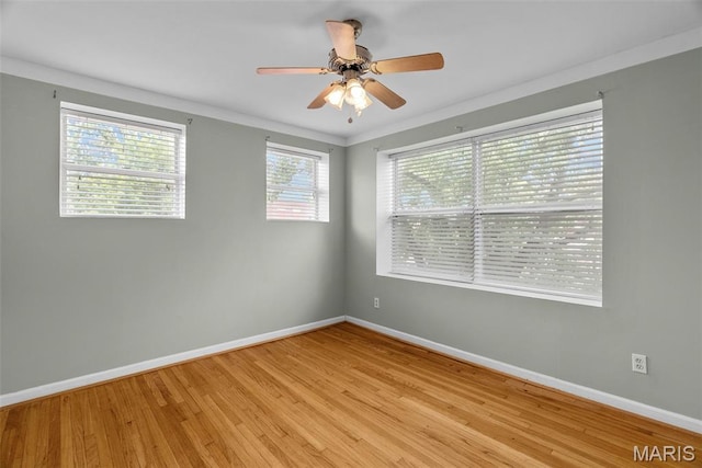 4540 Morganford Rd, Saint Louis, MO 63116 - photo 28