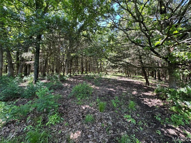 0 Cardinal Rd, Dixon, MO 65459 - photo 10