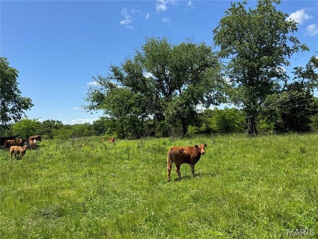 0 Cardinal Rd, Dixon, MO 65459 - photo 12
