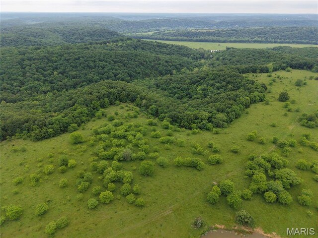 0 Cardinal Rd, Dixon, MO 65459 - photo 14