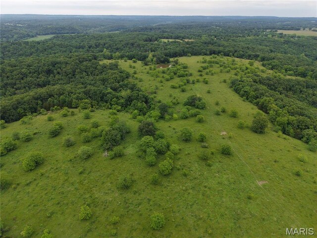 0 Cardinal Rd, Dixon, MO 65459 - photo 16