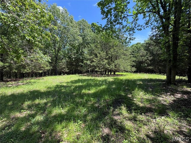 0 Cardinal Rd, Dixon, MO 65459 - photo 18