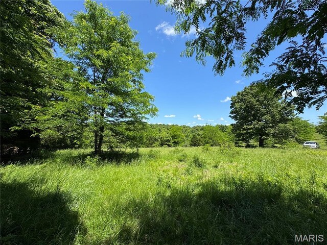 0 Cardinal Rd, Dixon, MO 65459 - photo 19