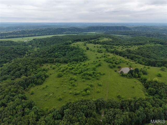 0 Cardinal Rd, Dixon, MO 65459 - photo 21
