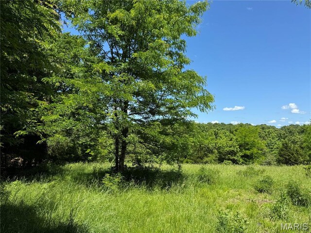 0 Cardinal Rd, Dixon, MO 65459 - photo 22