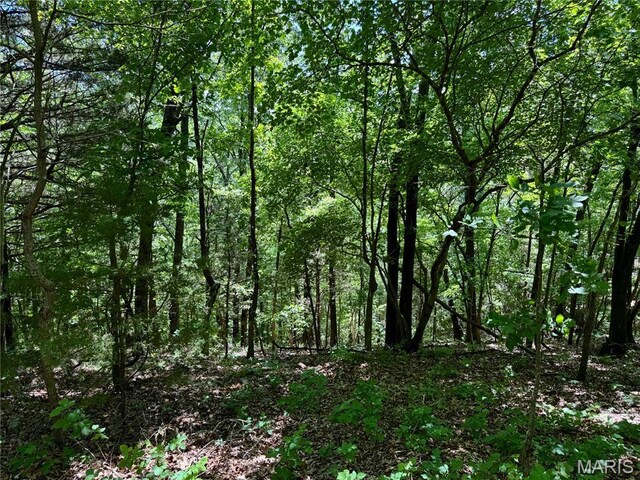 0 Cardinal Rd, Dixon, MO 65459 - photo 23