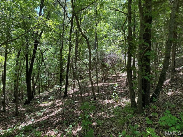 0 Cardinal Rd, Dixon, MO 65459 - photo 24