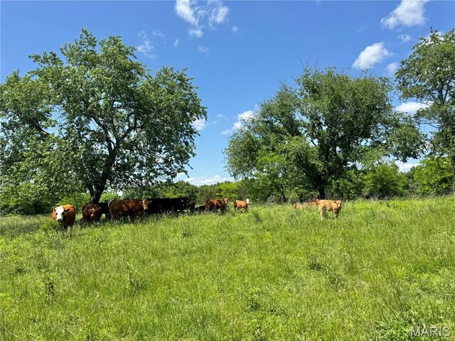 0 Cardinal Rd, Dixon, MO 65459 - photo 25