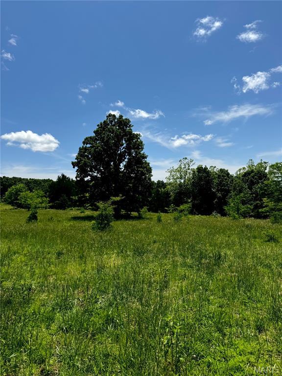 0 Cardinal Rd, Dixon, MO 65459 - photo 29