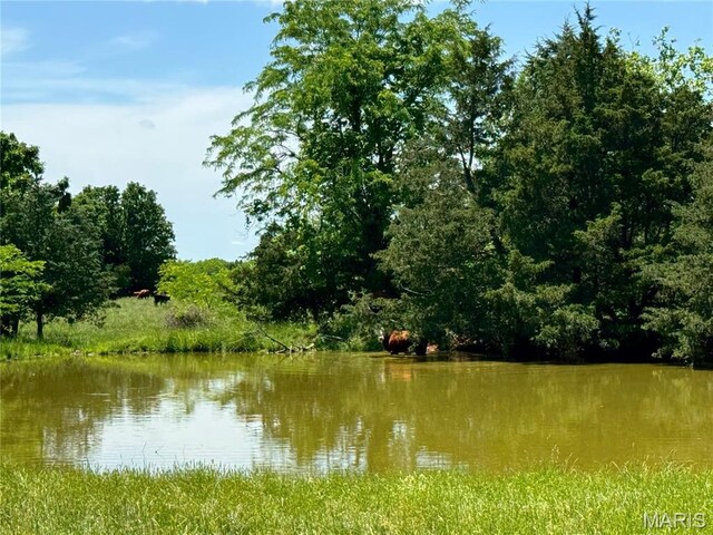 0 Cardinal Rd, Dixon, MO 65459 - photo 32