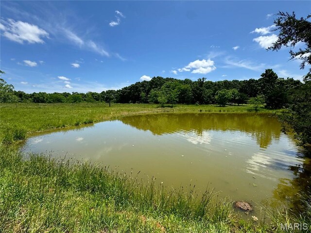 0 Cardinal Rd, Dixon, MO 65459 - photo 33