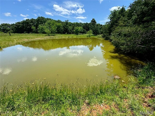 0 Cardinal Rd, Dixon, MO 65459 - photo 34