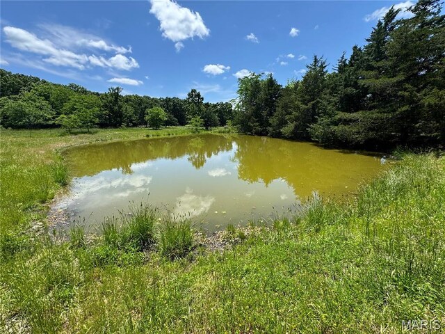0 Cardinal Rd, Dixon, MO 65459 - photo 35
