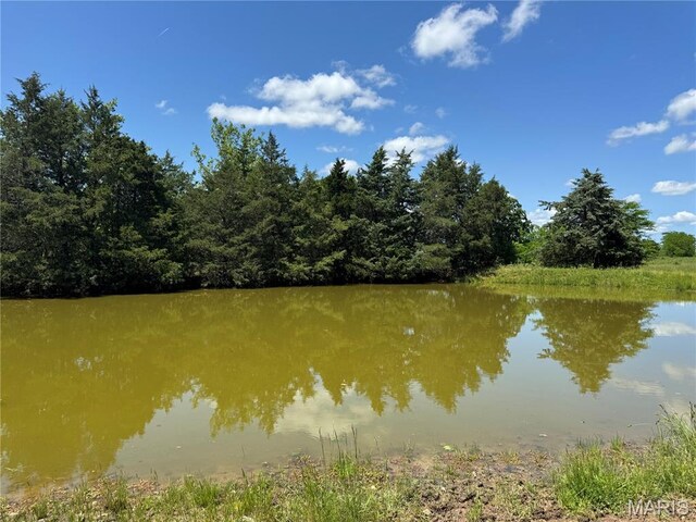 0 Cardinal Rd, Dixon, MO 65459 - photo 36