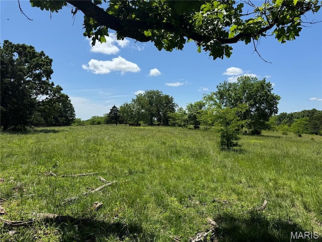0 Cardinal Rd, Dixon, MO 65459 - photo 41
