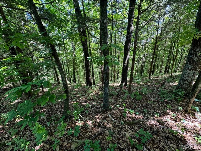 0 Cardinal Rd, Dixon, MO 65459 - photo 43