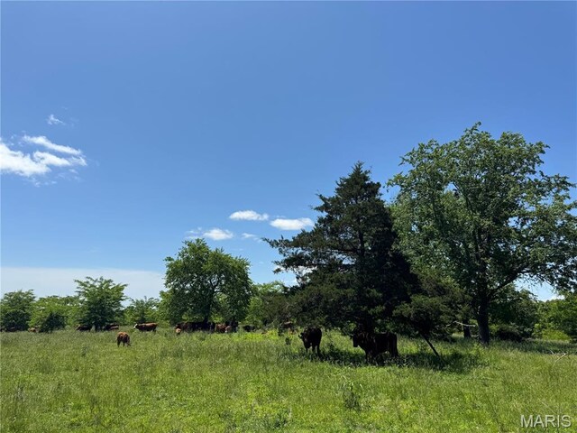 0 Cardinal Rd, Dixon, MO 65459 - photo 44