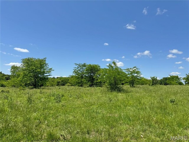 0 Cardinal Rd, Dixon, MO 65459 - photo 45