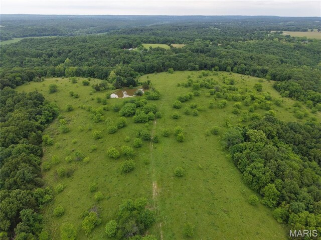 0 Cardinal Rd, Dixon, MO 65459 - photo 59