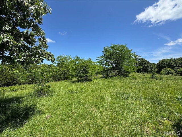 0 Cardinal Rd, Dixon, MO 65459 - photo 4