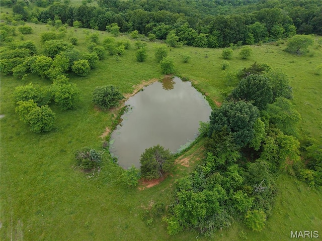 0 Cardinal Rd, Dixon, MO 65459 - photo 5