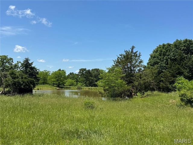 0 Cardinal Rd, Dixon, MO 65459 - photo 2