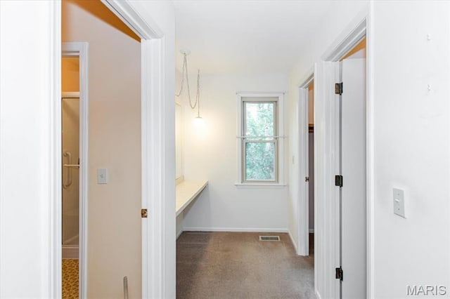 1461 Oak Bluff Ln, Kirkwood, MO 63122 - corridor with carpet flooring and baseboards