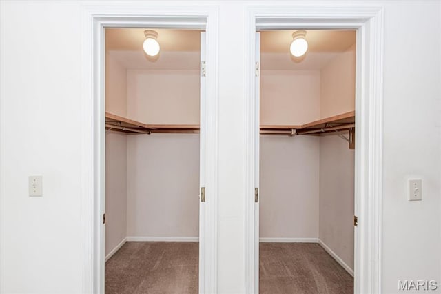 1461 Oak Bluff Ln, Kirkwood, MO 63122 - spacious closet with carpet flooring