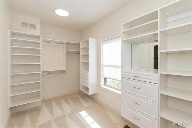 111 N Mosley Rd, Saint Louis, MO 63141 - walk in closet with light carpet