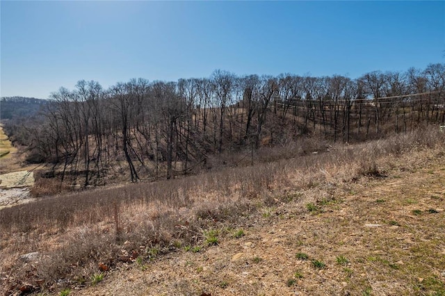 615 Corisande Hill Rd, Fenton, MO 63026 - view of nature featuring rural landscape