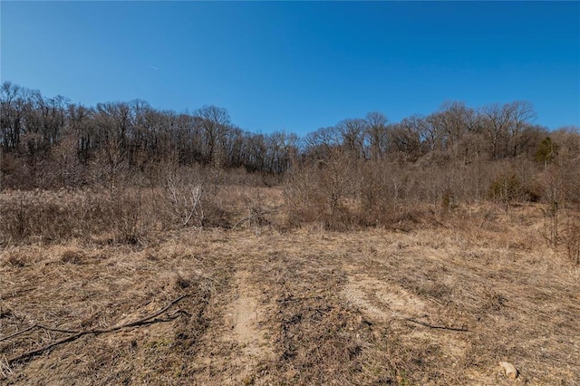 615 Corisande Hill Rd, Fenton, MO 63026 - view of local wilderness