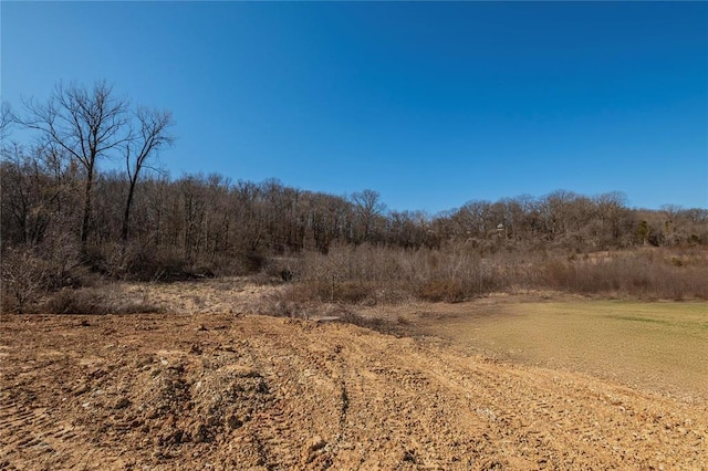 615 Corisande Hill Rd, Fenton, MO 63026 - view of nature