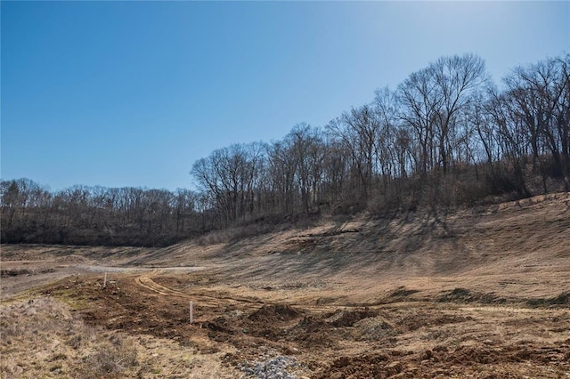 615 Corisande Hill Rd, Fenton, MO 63026 - view of nature