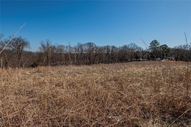615 Corisande Hill Rd, Fenton, MO 63026 - view of local wilderness