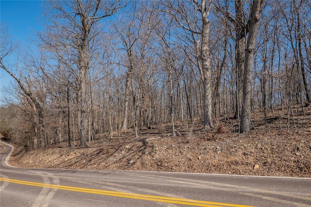 615 Corisande Hill Rd, Fenton, MO 63026 - view of asphalt street