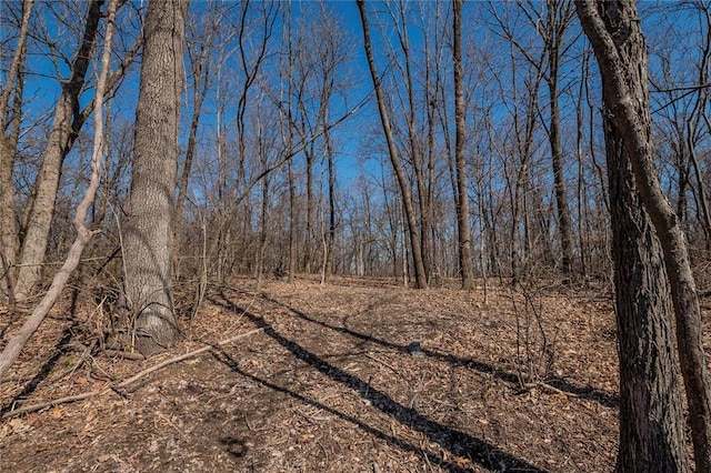 615 Corisande Hill Rd, Fenton, MO 63026 - view of undeveloped land
