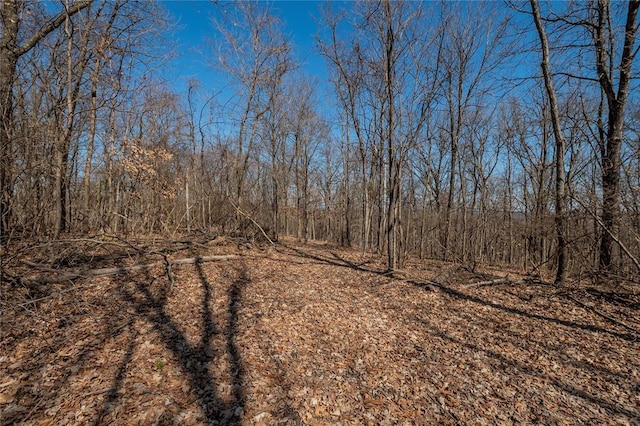 615 Corisande Hill Rd, Fenton, MO 63026 - view of undeveloped land