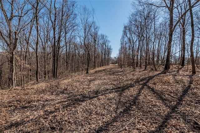 615 Corisande Hill Rd, Fenton, MO 63026 - view of nature