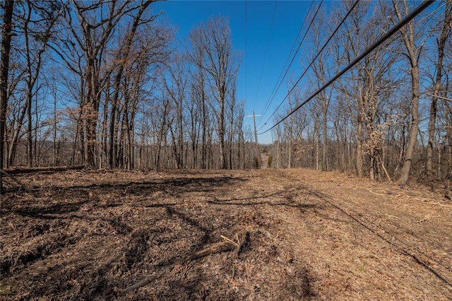 615 Corisande Hill Rd, Fenton, MO 63026 - view of local wilderness