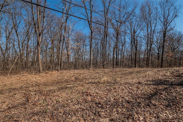 615 Corisande Hill Rd, Fenton, MO 63026 - view of local wilderness