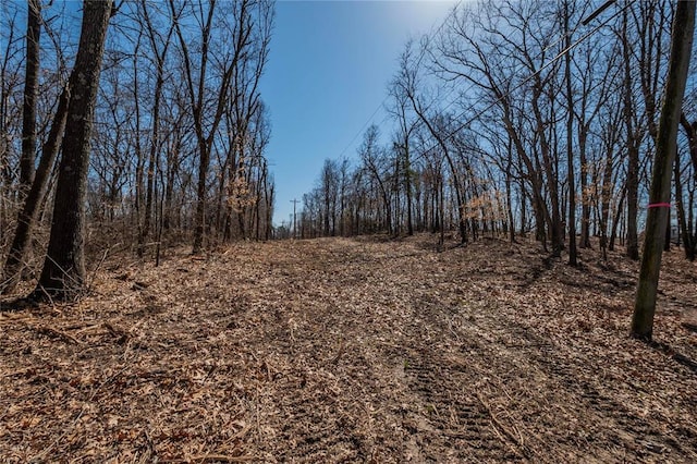 615 Corisande Hill Rd, Fenton, MO 63026 - view of undeveloped land
