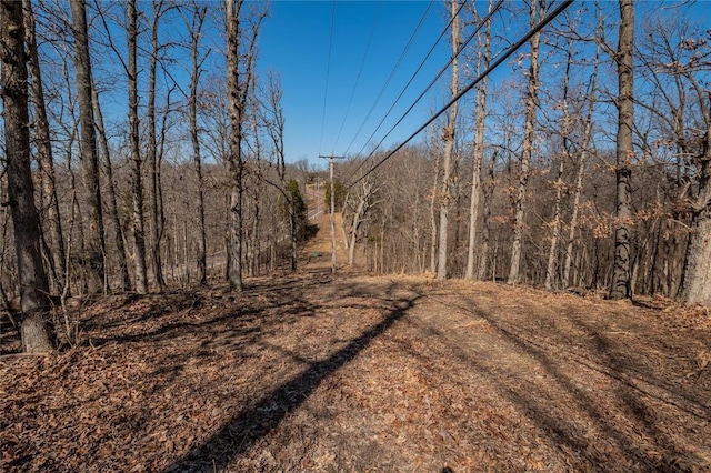 615 Corisande Hill Rd, Fenton, MO 63026 - view of tree filled area