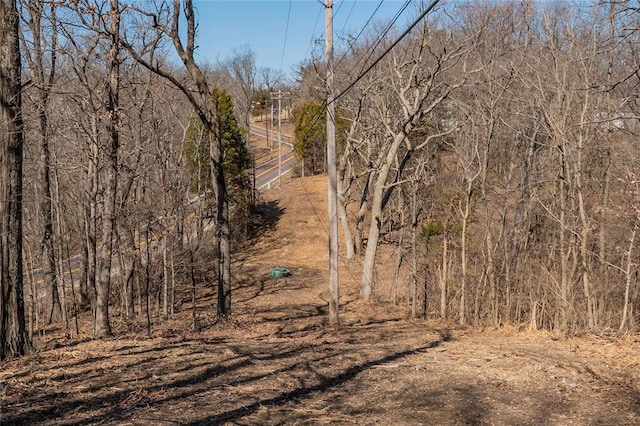 615 Corisande Hill Rd, Fenton, MO 63026 - view of nature