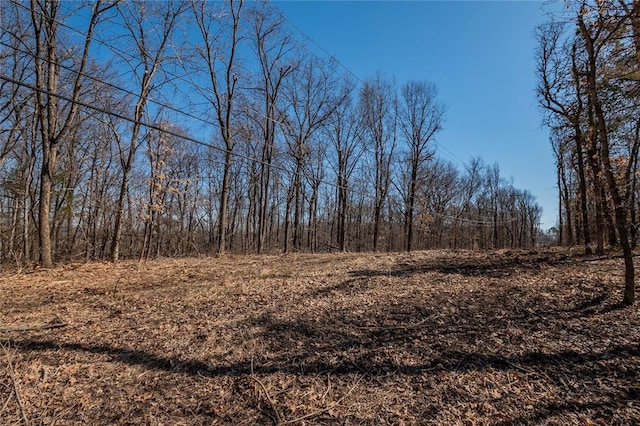 615 Corisande Hill Rd, Fenton, MO 63026 - view of undeveloped land
