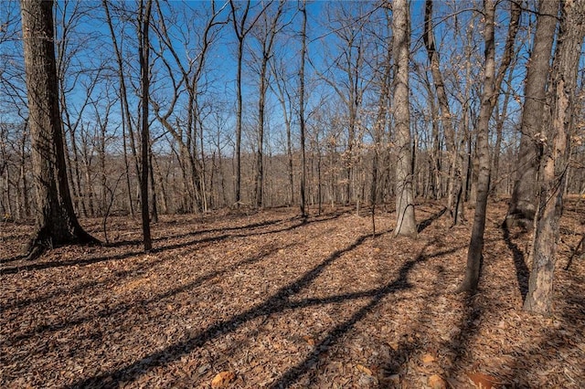 615 Corisande Hill Rd, Fenton, MO 63026 - view of nature