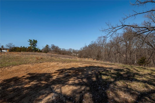 615 Corisande Hill Rd, Fenton, MO 63026 - view of yard